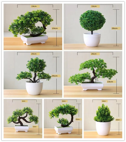 Bonsai Tree Plants